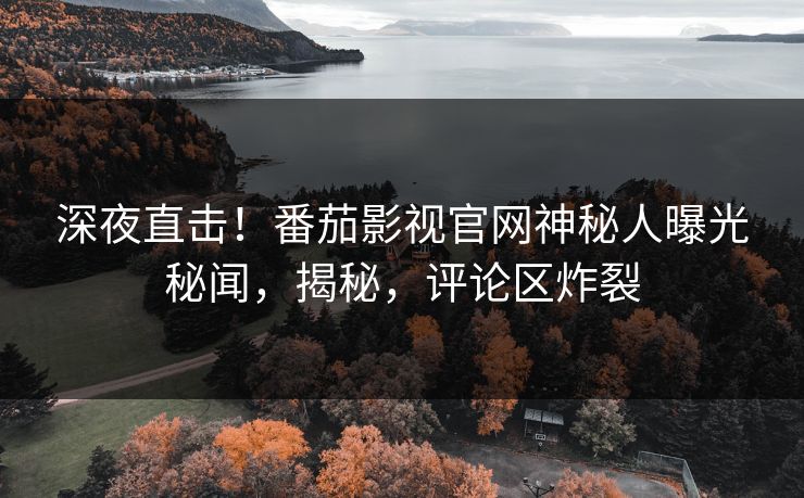 深夜直击！番茄影视官网神秘人曝光秘闻，揭秘，评论区炸裂