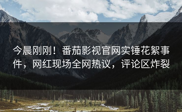 今晨刚刚！番茄影视官网实锤花絮事件，网红现场全网热议，评论区炸裂